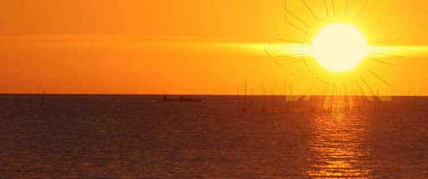 Forever Summer Days And Nights