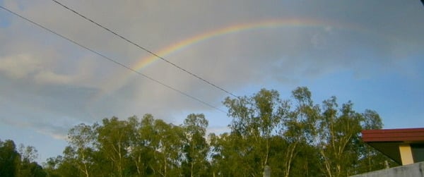 A Rainbow Amidst The Rain Clouds
